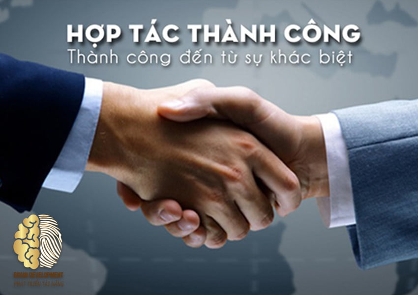 Chính sách hợp tác của Công ty phát triển Tài Năng Trẻ